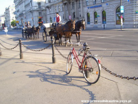 Wiedeń Zwiedzanie bryczką, Zwiedzanie Wiednia na rowerze