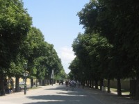 Alejka w Parku Schonbrunn